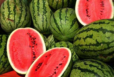 Fresh Watermelon