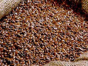 Flax Seeds