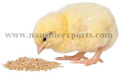 Poultry Feed