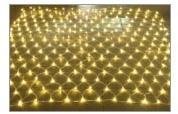 LED Net Lights