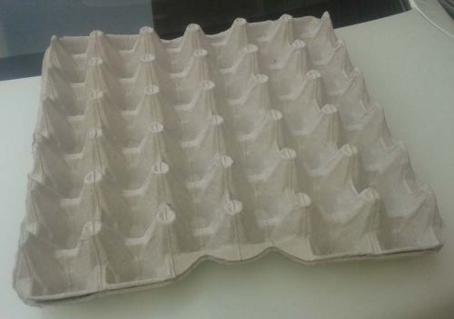 White Disposable Paper Pulp Egg Tray