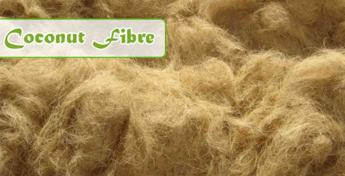 Coir Fiber, Packaging Type : white/golden brown