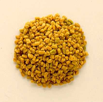 Fenugreek Seeds