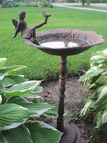 Metal Bird Bath