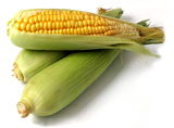 Sweet Corn