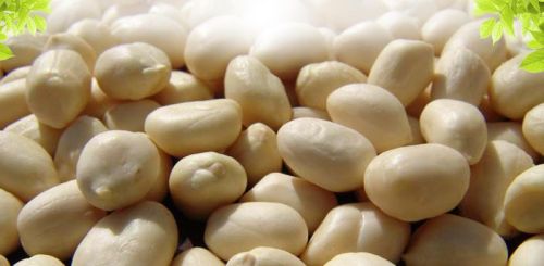 JaVa S Type Groundnut Kernels, For EDIBLE, Packaging Type : 50 KG JUTE