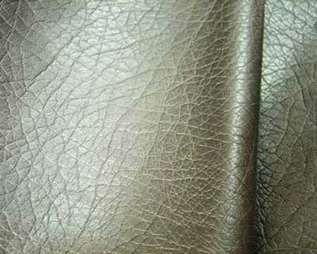 Finished Leather 01