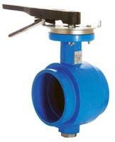 Butterfly Valve