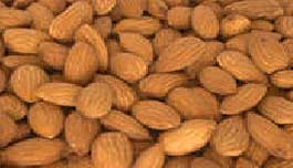 Almond Kernels