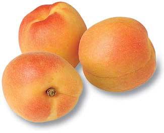 Fresh Apricot