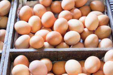 Chicken eggs
