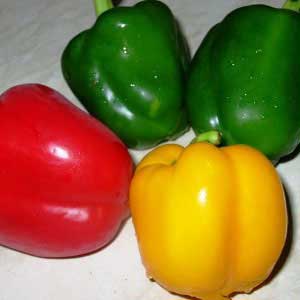 Fresh Capsicum