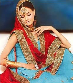 Pakistani Sarees