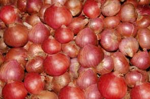 Fresh Onion