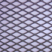 Expanded Metal Mesh, Finishing : Polished