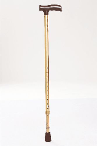 WALKING STICK POWDER COATING