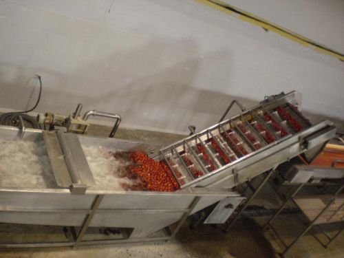 Shivaay Engineers Tomato Processing Machinery, For Ketchup, Sauce