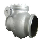 Check Valve