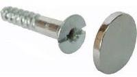 Steel Mirror Screw