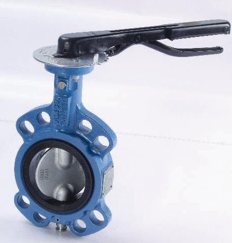 Butterfly Valve