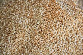 JDG Organic Quinoa Seeds