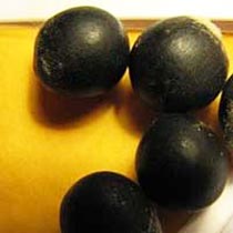 Ritha Seeds, Acacia Concinna