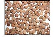 Sarpgandha Seeds (Rauvolfia Serpentina)