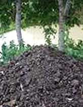 Organic Manure