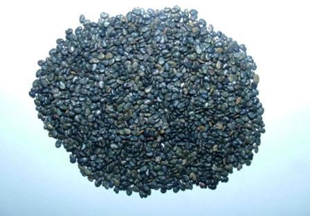 Sunhemp Seed