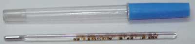Clinical Thermometer Small