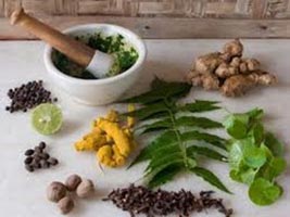 Ayurvedic Antioxidant Medicine