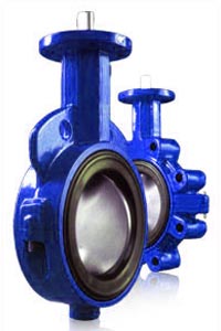 Butterfly Valve