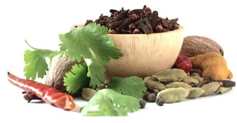 Natural Herbal Extract, Purity : 100%, Packaging Type : Bag