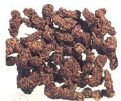 Natural Dried Taggri Root, Color : Brown