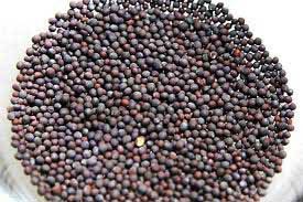 Mustard Seeds