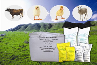 Dicalcium Phosphate (dcp) 18%min Feed Grade