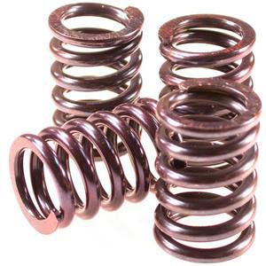 Clutch Springs