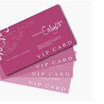 Plastic Privilege Card