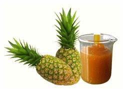 Pineapple Pulp