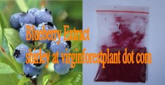 Blueberry Extract Anthocyanins