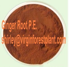 Ginger Root P.e