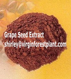 Grape Seed Extract