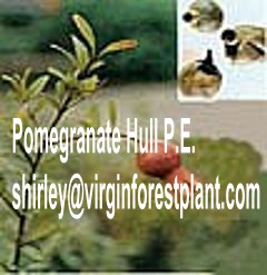 Pomegranate Hull Extract