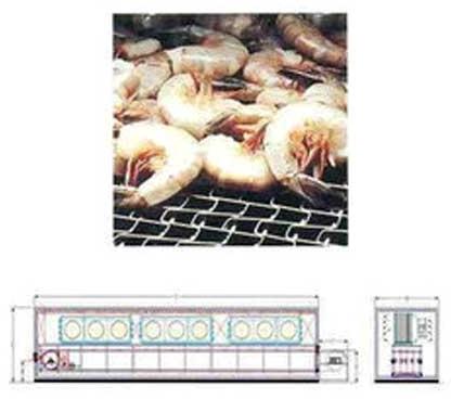 Conveyor Freezer