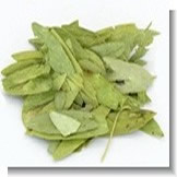 Senna Leaf Extract