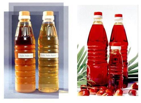 Rbd Palm Oil