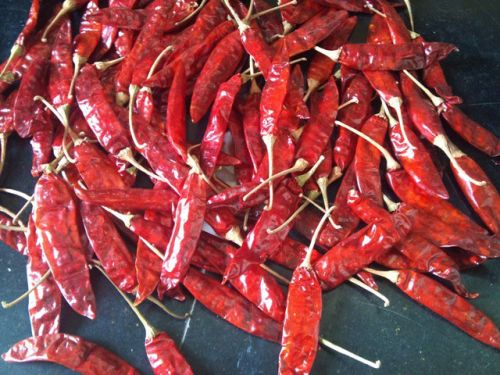 Guntur Red Chilli