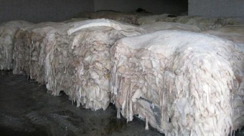 Wet Sheep Hides