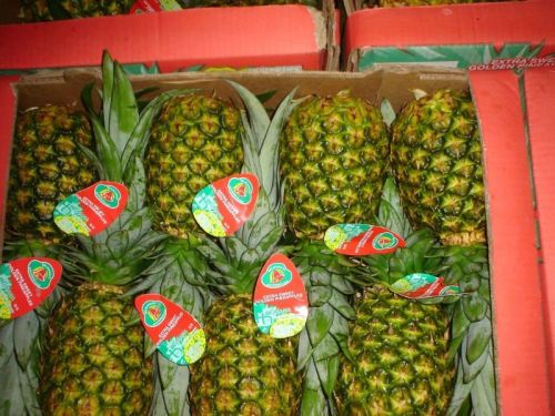 Fresh Pineapples and Other Fruits