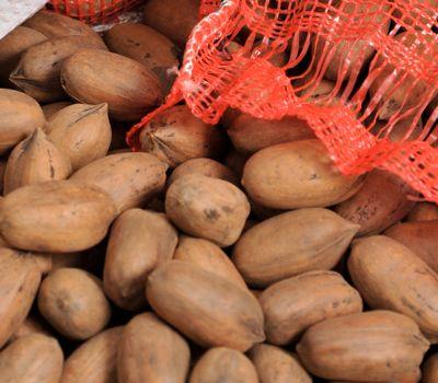 Organic Pecan Nut